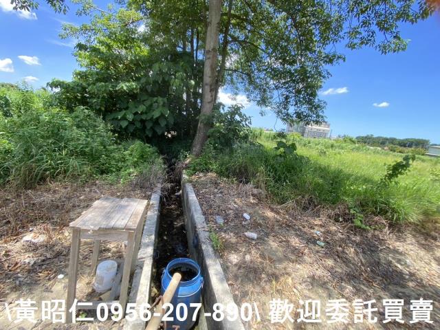 佳里農地-12