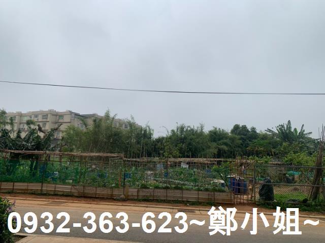 桃園農地-3