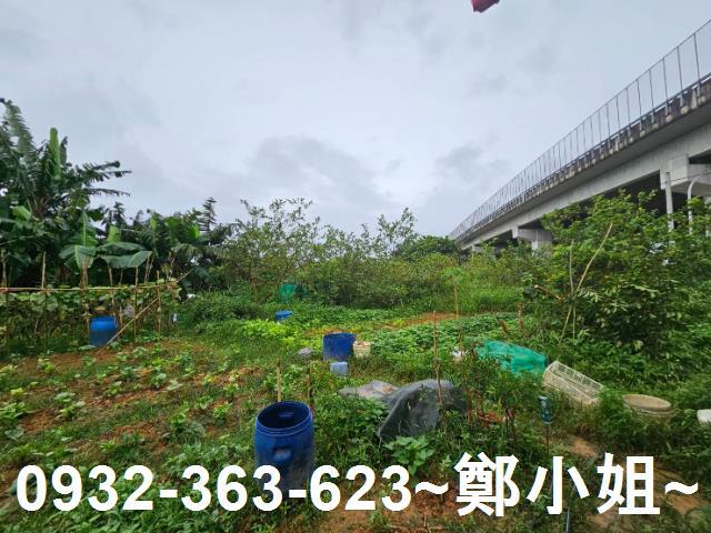 桃園農地-11