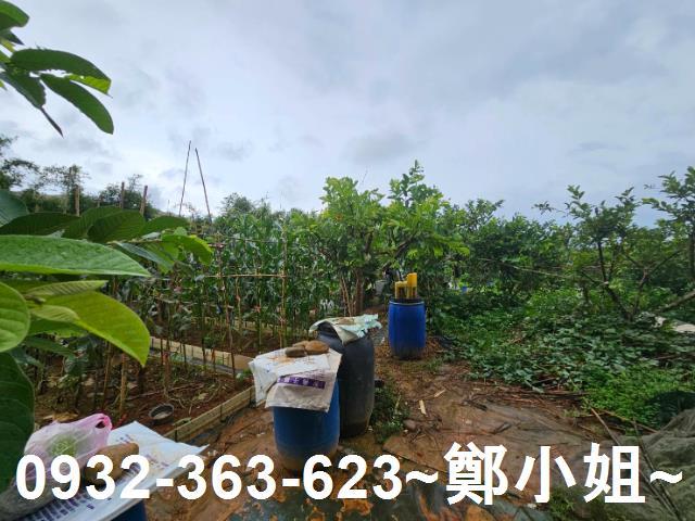 桃園農地-12