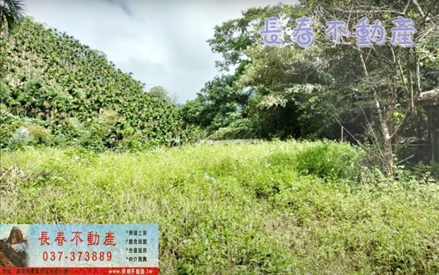 苗栗卓蘭林地-6