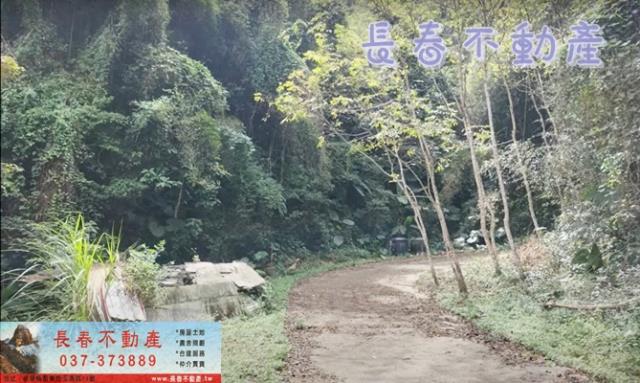 苗栗卓蘭林地-7