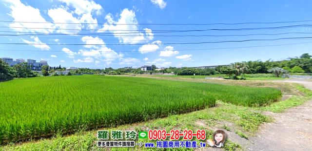 桃園平鎮農地-1