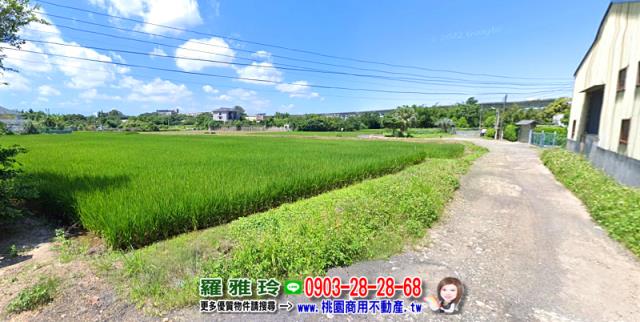 桃園平鎮農地-3