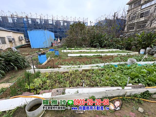 桃園觀音建地-11