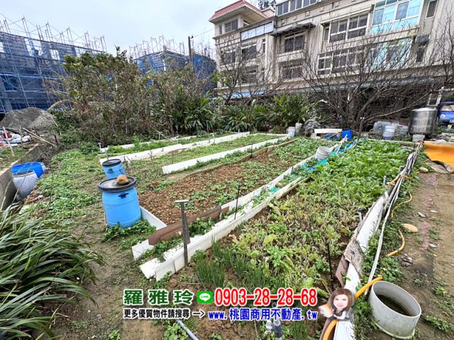 桃園觀音建地-12
