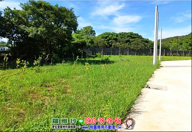 桃園平鎮農地-9