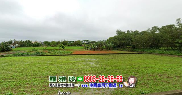 桃園觀音農地-2