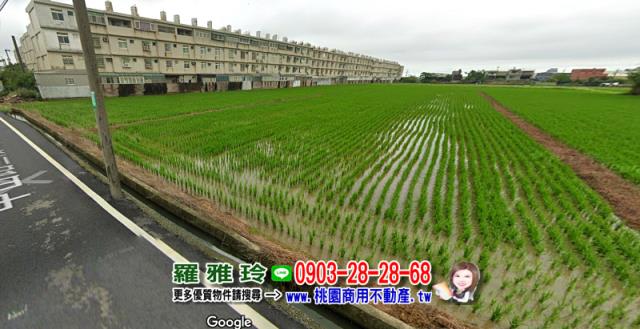桃園觀音農地-3