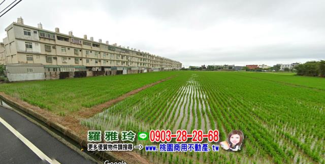 桃園觀音農地-4
