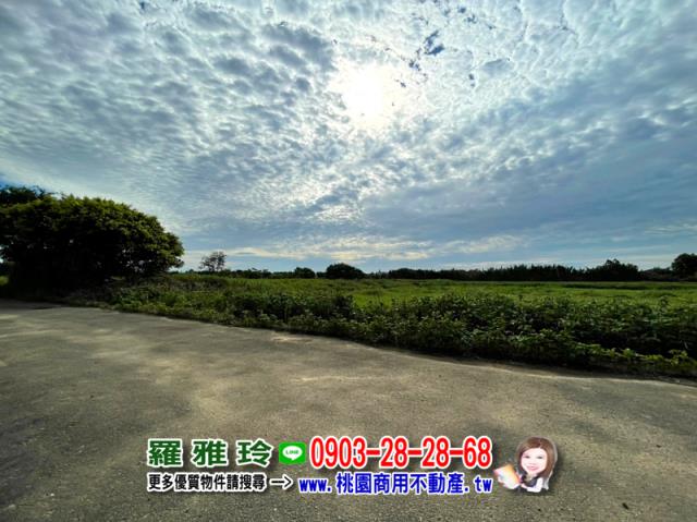 大園農地-1