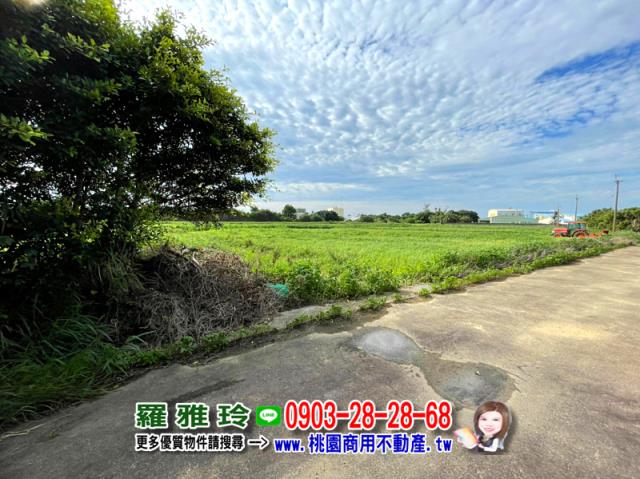 大園農地-2