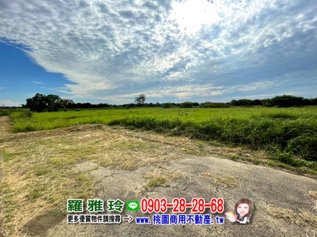大園農地-3