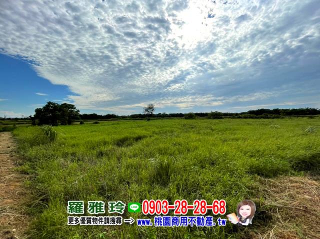 大園農地-4