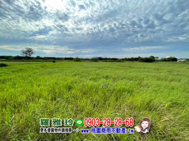 大園農地-5