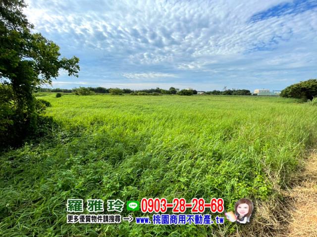 大園農地-6