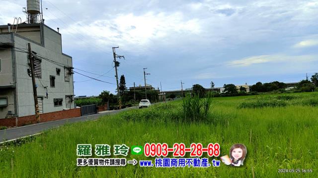 新屋農地-5