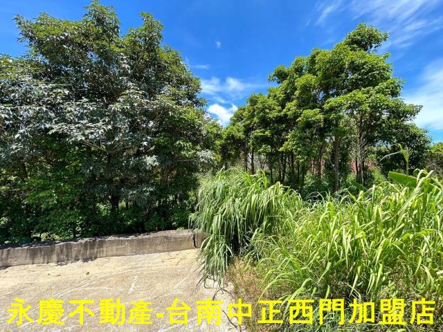玉井農地-13