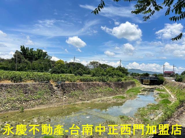 玉井農地-8
