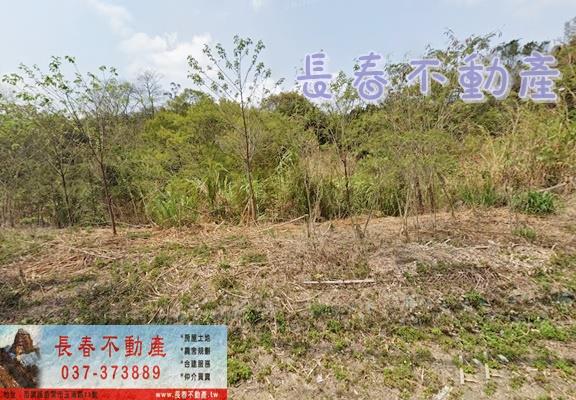 卓蘭農地-1