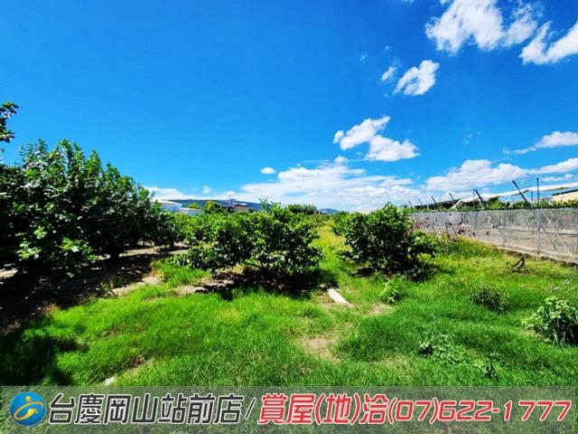 高雄農地-5