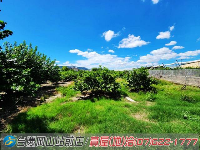 高雄農地-8