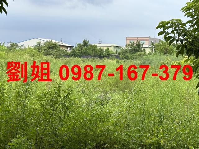 高雄農地-1