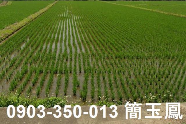 楊梅農地-1