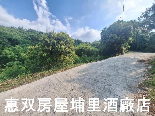 南投市農地-5