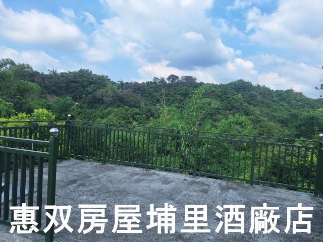 南投市農地-6