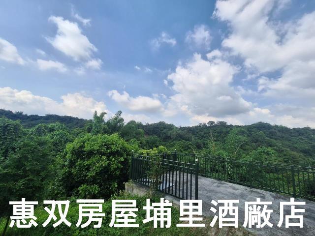 南投市農地-7