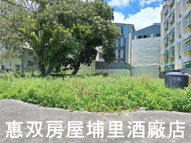 埔里建地-5