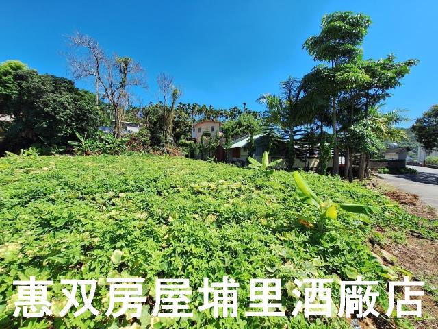 南投埔里建地-6