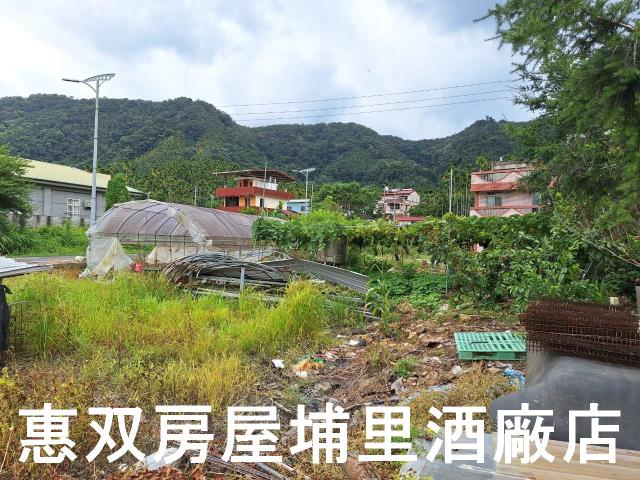南投魚池建地-7