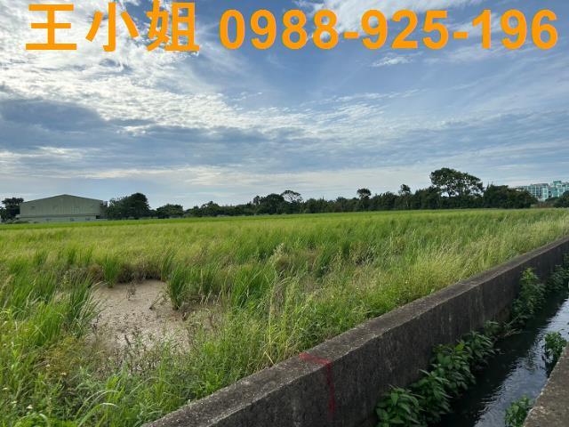 桃園新屋農地-1