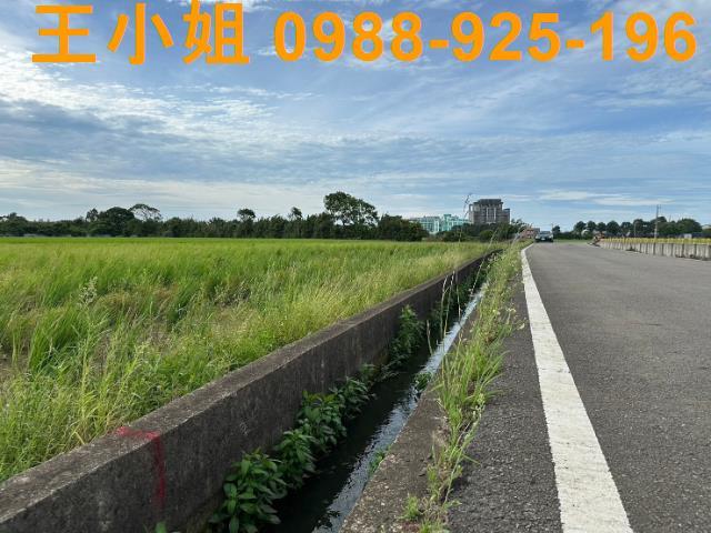 桃園新屋農地-2