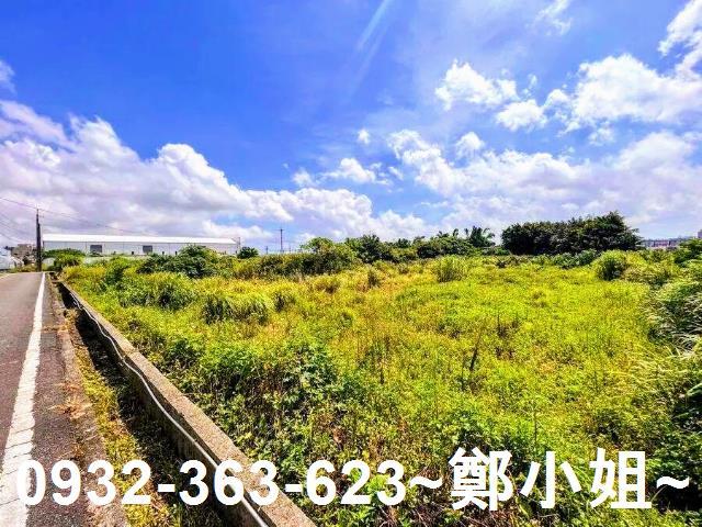 大園農地-5