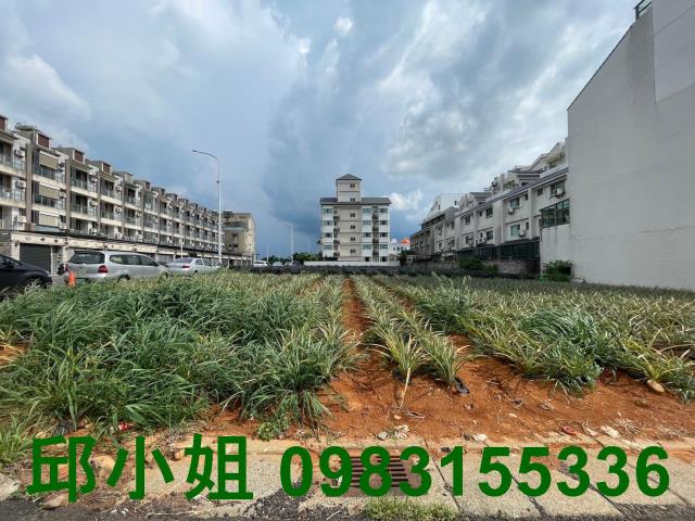 民雄建地-1
