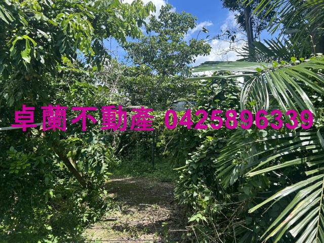 卓蘭農地-1