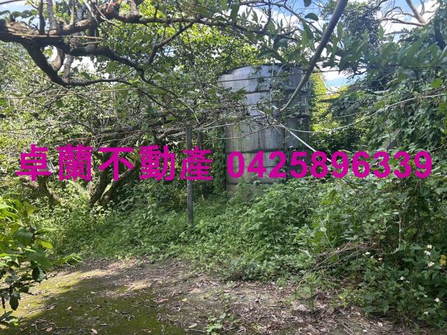 卓蘭農地-2