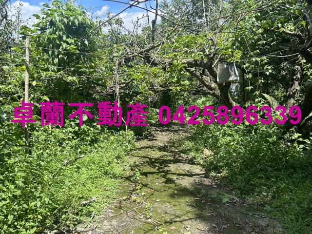 卓蘭農地-4