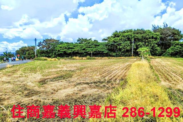 民雄農地-10