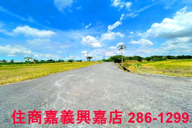 民雄農地-1