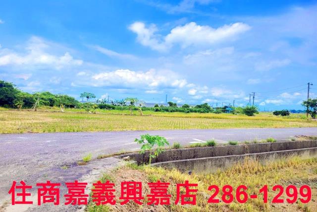 民雄農地-3