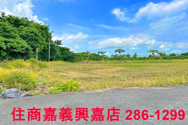 民雄農地-4