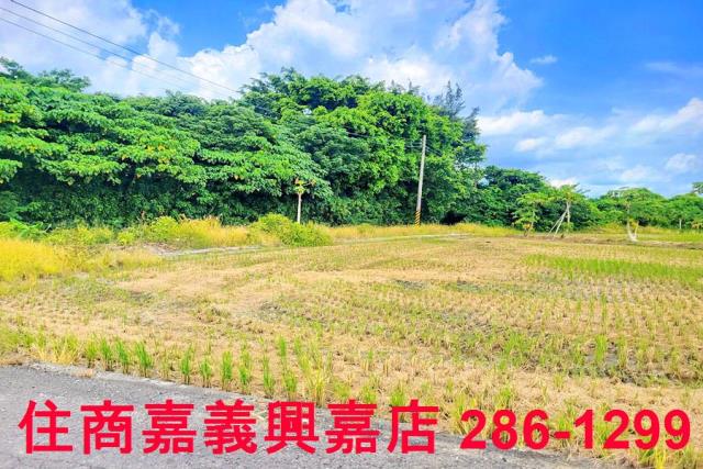 民雄農地-5
