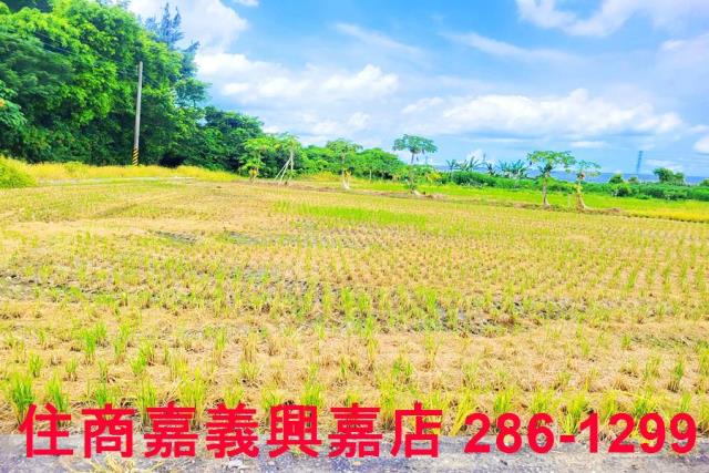 民雄農地-7