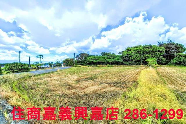 民雄農地-9