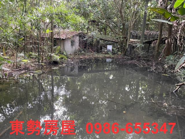 新社農地-6