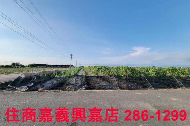 嘉義農地-5